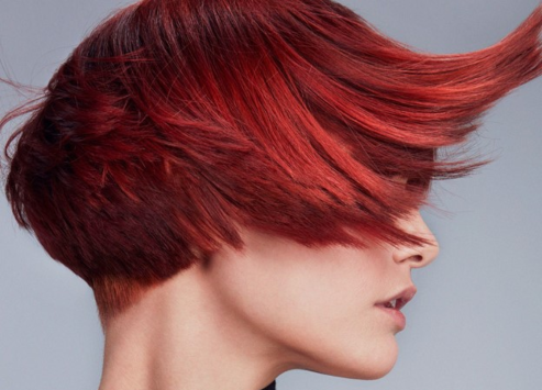 5 Reasons Aveda's NEW Color Line Outshines The Rest | Salon and Spa on  Railroad